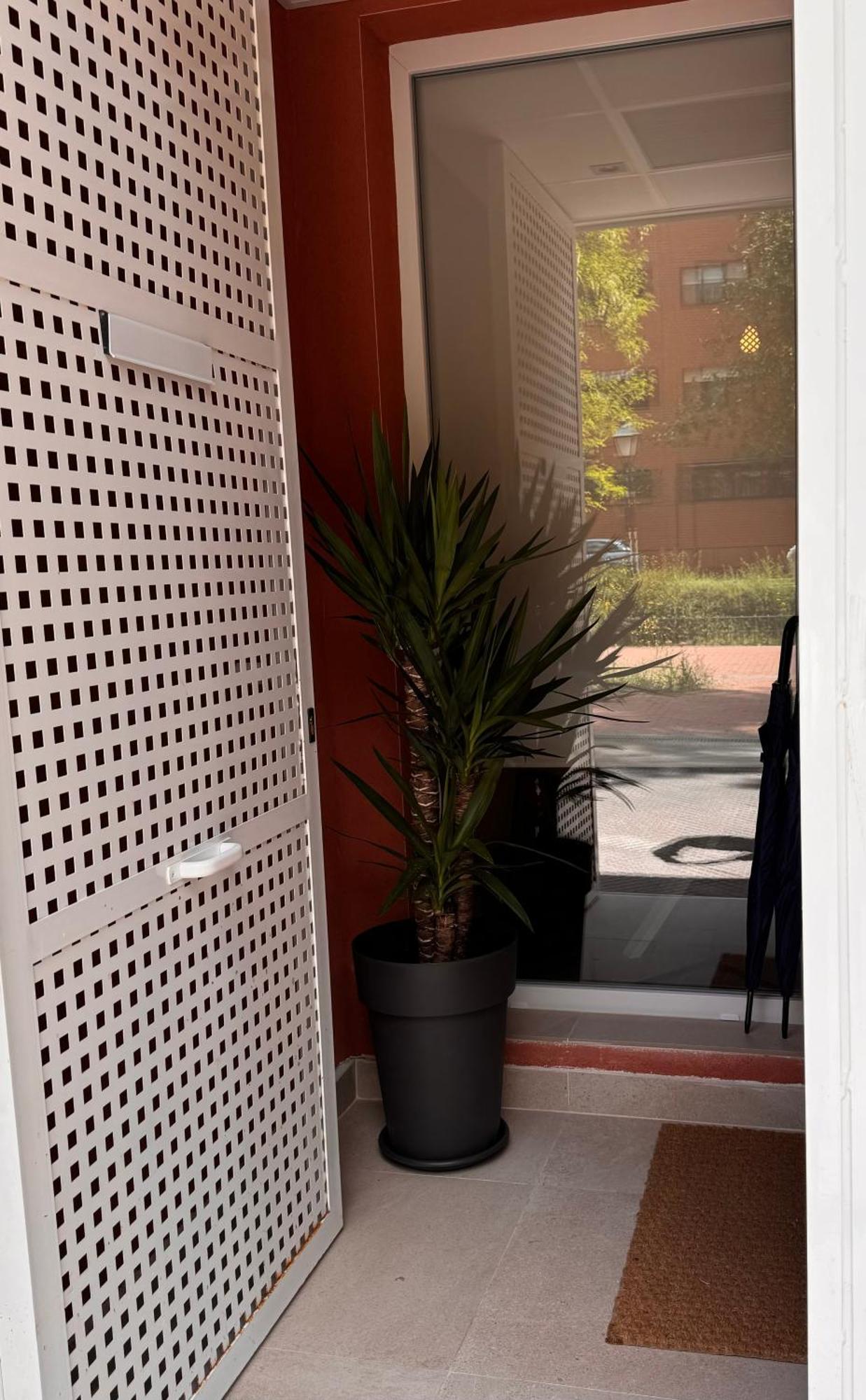 Laan Los Pinos Alcalá de Henares Exterior foto